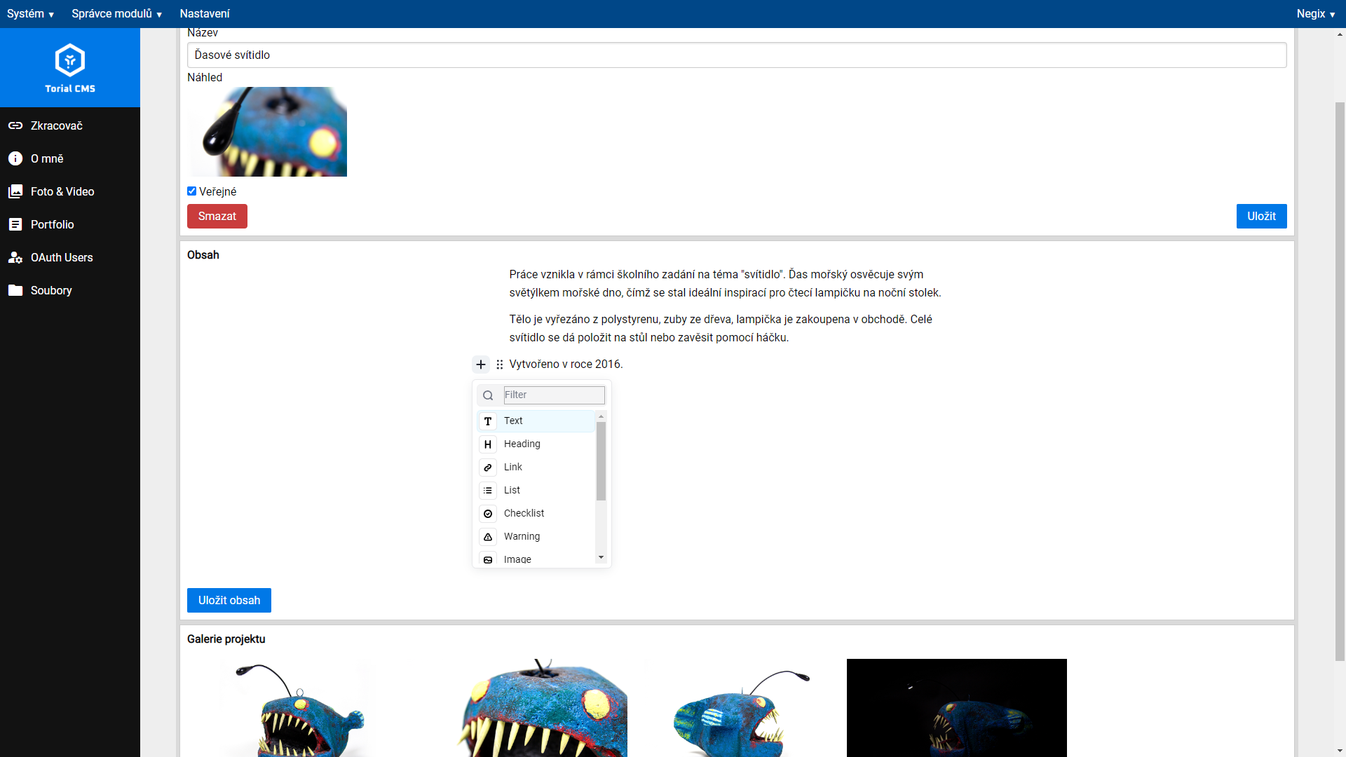 Obrázek projektu Ayana Design - Sára Hýžová